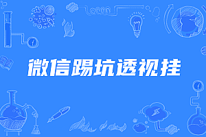 微信踢坑透视挂软件下载
